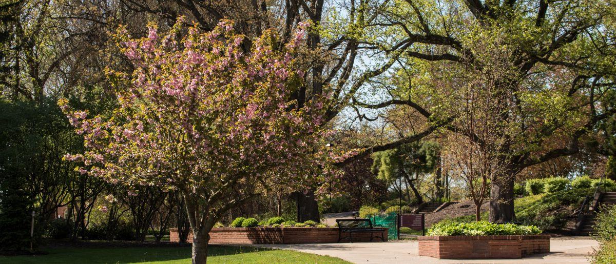 Campus Beauty